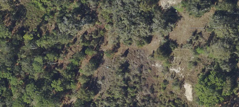 Vacant Land with Oak Trees