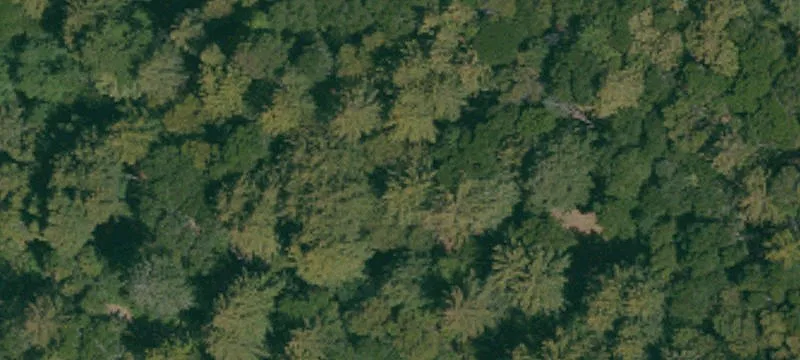 Waterfront Recreation Land Parcel