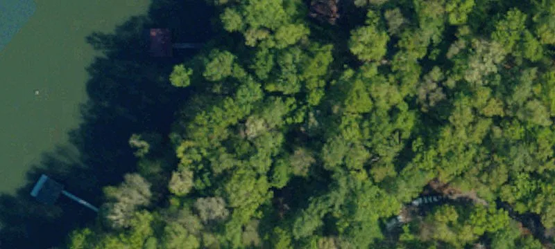 Wooded Residential Lot