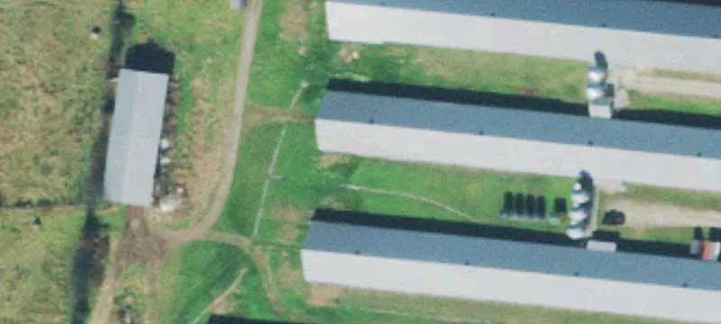 Poultry Farm with Multiple Broiler Houses