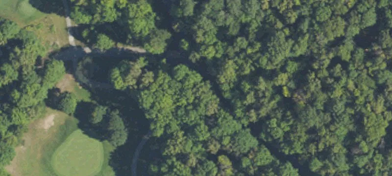 Wooded Residential Lot in Resort