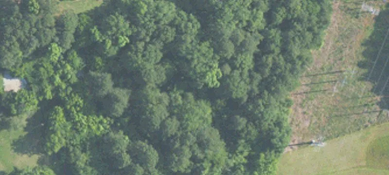 Commercial Land with Road Frontage