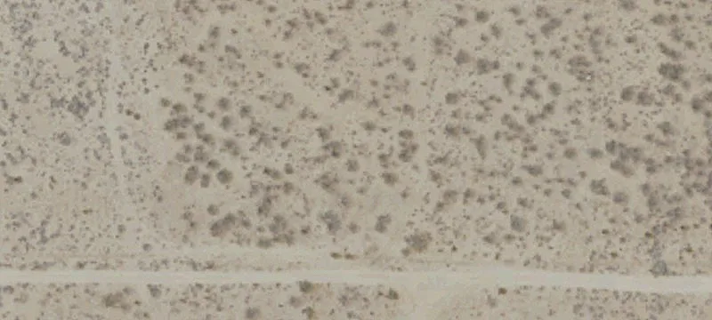 Zoned Light Agriculture Land Parcel