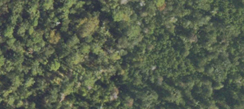 Residential Land Lot with Easement Access