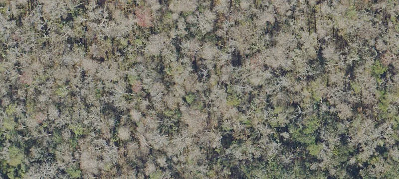 Land Parcel with Road Frontage