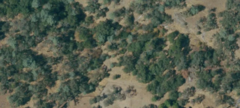 Rural Acreage with Seasonal Creek