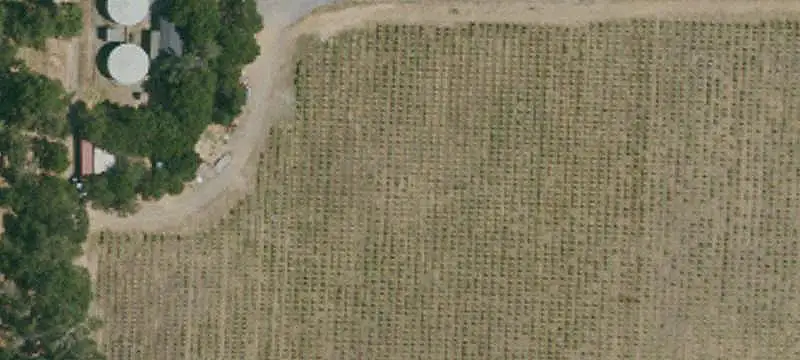 Gated Vineyard Estate Homesite Lot