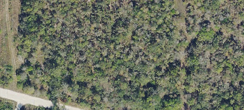 Acreage Parcel with Road Access