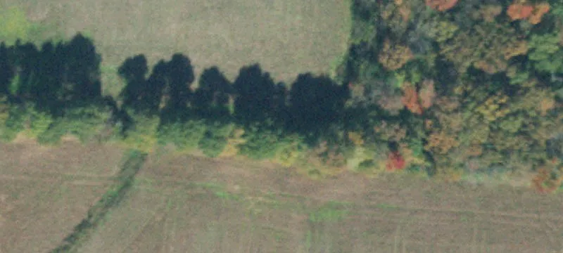 Wooded Lot with Soil Site