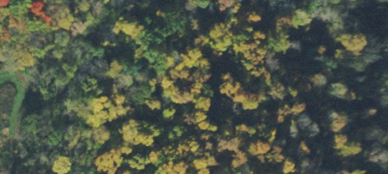 Recreational Hunting Land with Cabin
