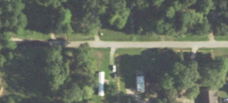 Unimproved Land Tract with Trees