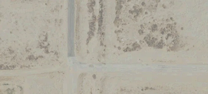 Buildable Horse Property Parcel