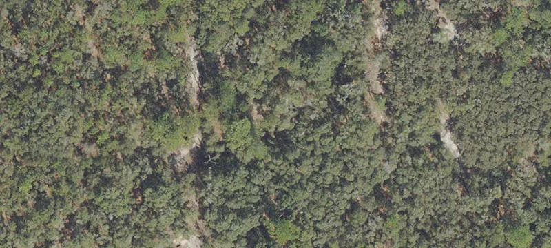 Buildable High-and-Dry Lot