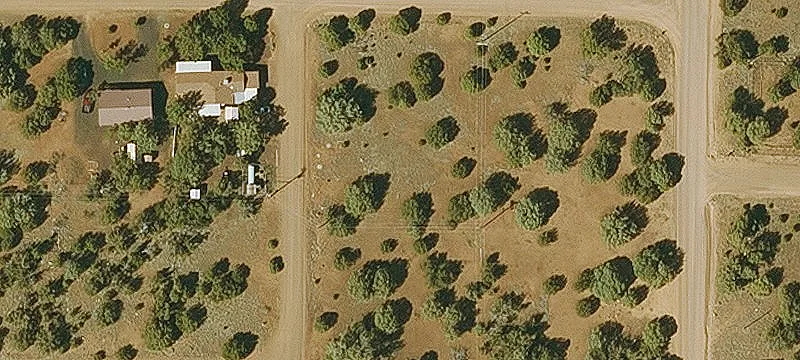 Treed Residential Land Lot