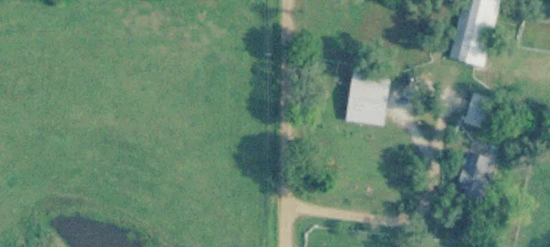 Poultry Egg Farm with Four Houses
