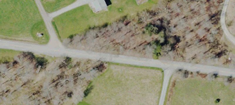 Former Dairy Farm Property