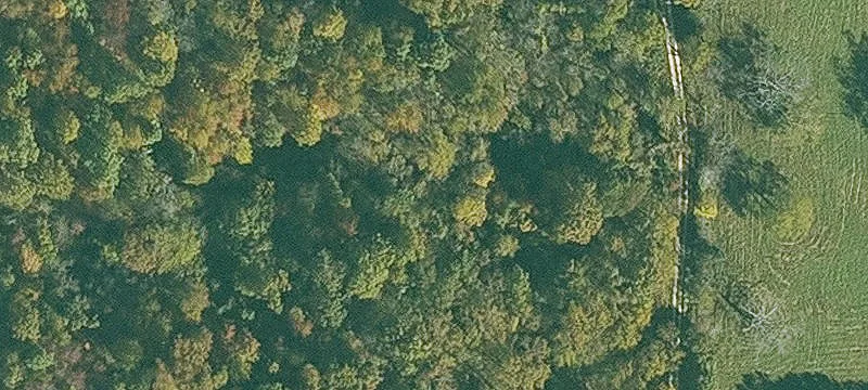 Wooded Residential Land Parcel