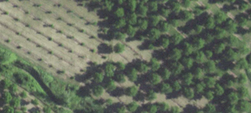 Agricultural Land with Existing Well