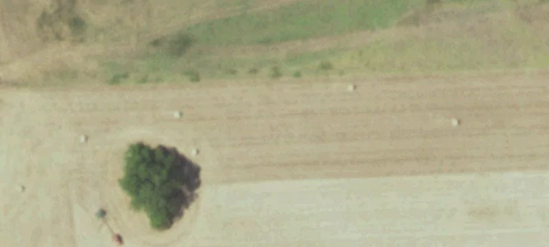 Well-Watered Cattle Ranch Property