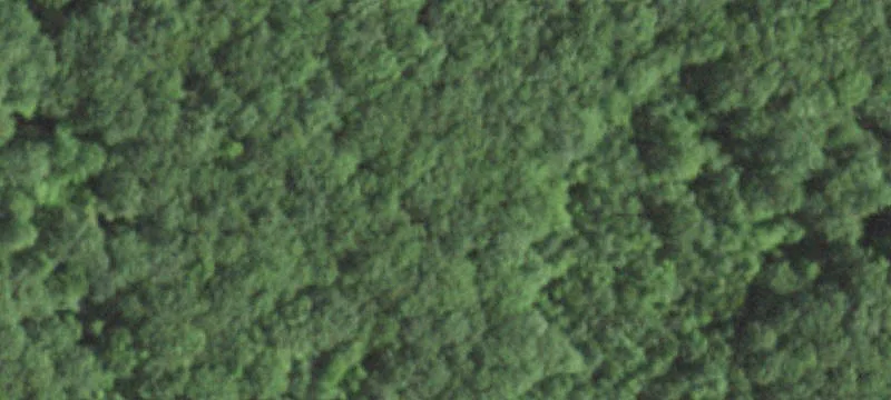 Forestry-Zoned Wooded Hunting Acreage