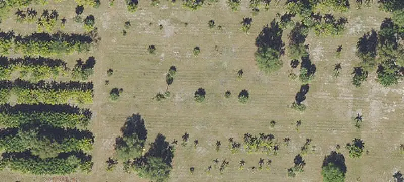 Cleared Agricultural Land with Parcel Potential