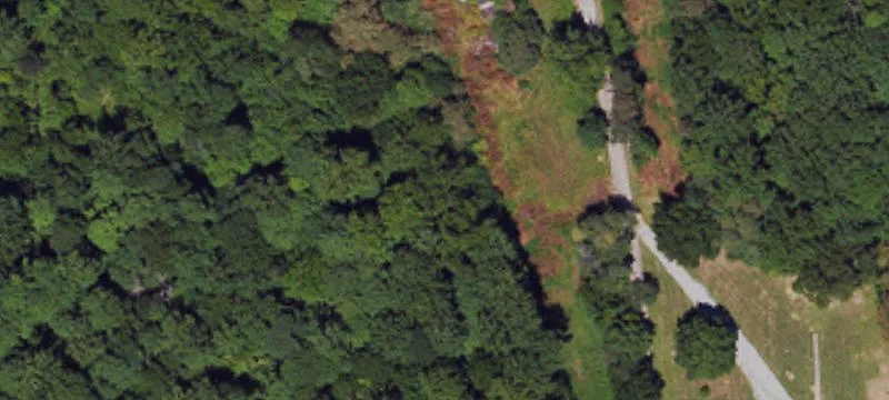 10-Acre Building Lot with Woodlands