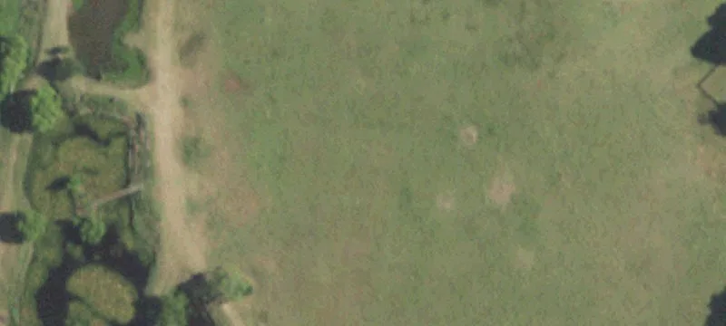 Ag-Exempt Ranch Acreage with Arena