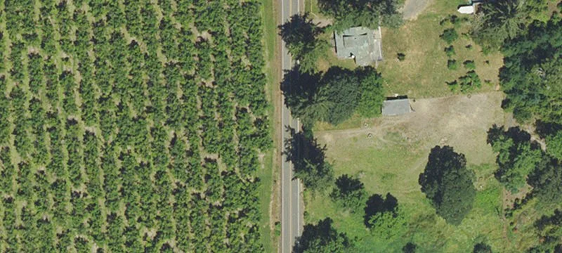Buildable Rural Home Lot with Services