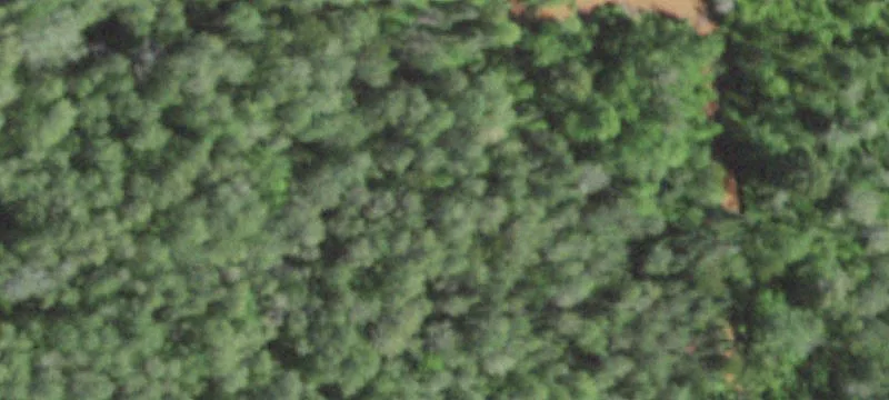 Wooded Agricultural Land Parcel