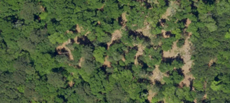 Wooded Waterfront Estate Acreage