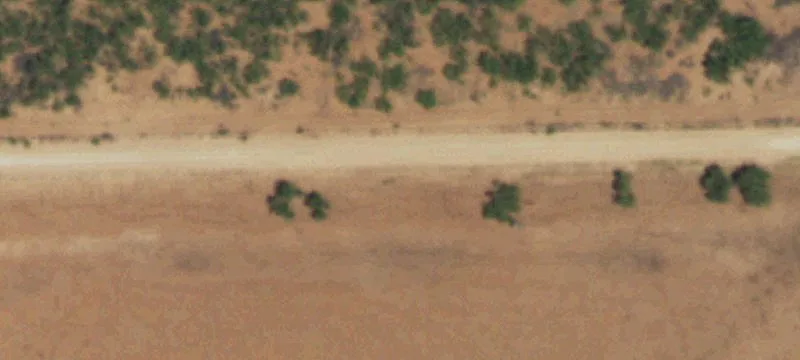 West Texas Hunting Land Tract