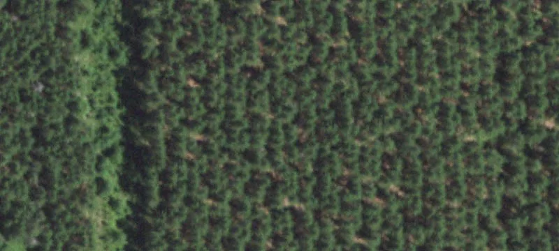 Corner-Access Residential Land Parcel