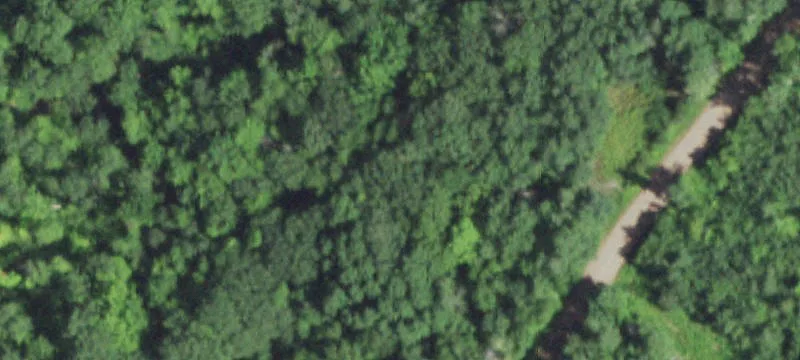 Hardwood-Filled Recreation Land Parcel