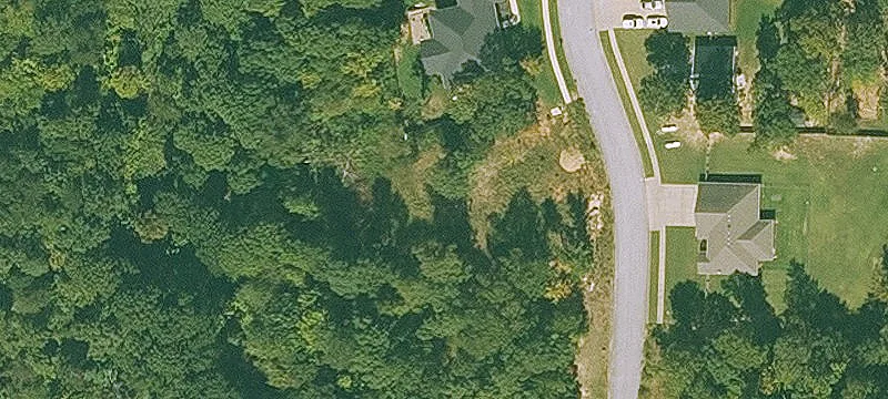 Treed Residential Building Lot