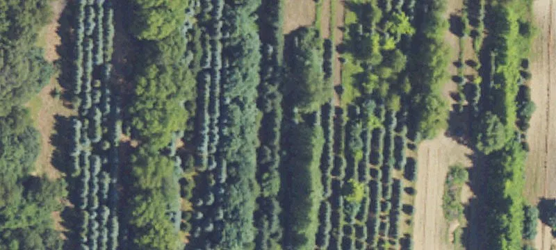 Agricultural Land Parcel