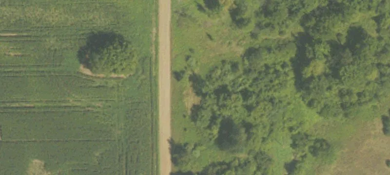 Wooded Recreational Land Parcel