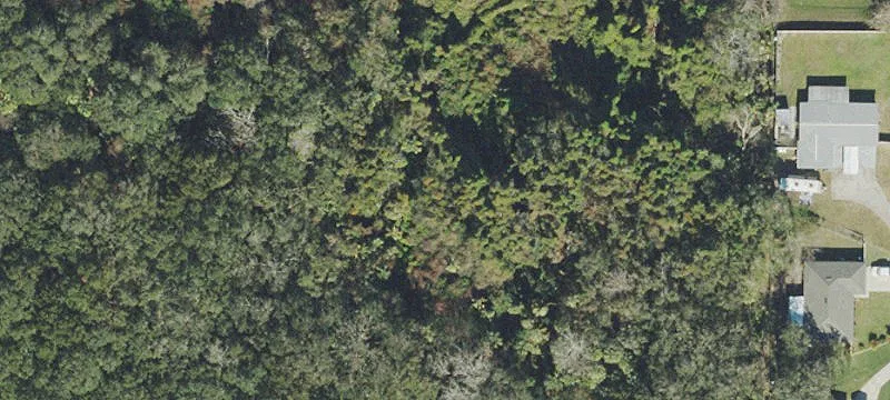 Commercial Development Land Opportunity