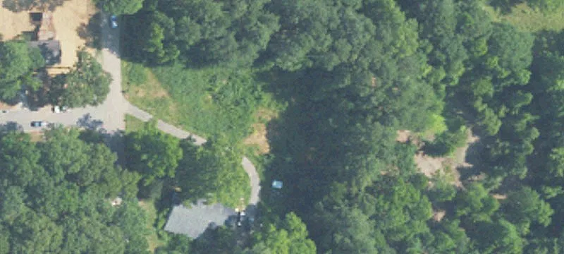 Buildable Lot with Mature Trees