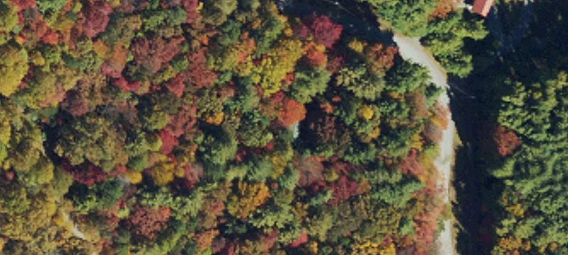 Wooded Mountain Home Lot