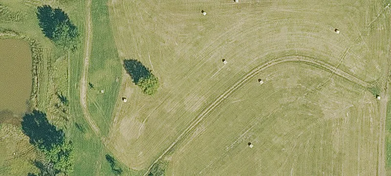 Fenced Pasture Farm with Kennel Shop