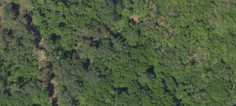 Heavily Wooded Homesite Land