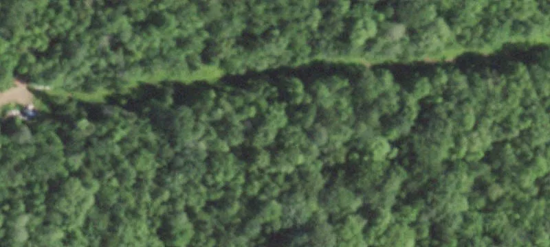 Heavily Wooded Recreational Land