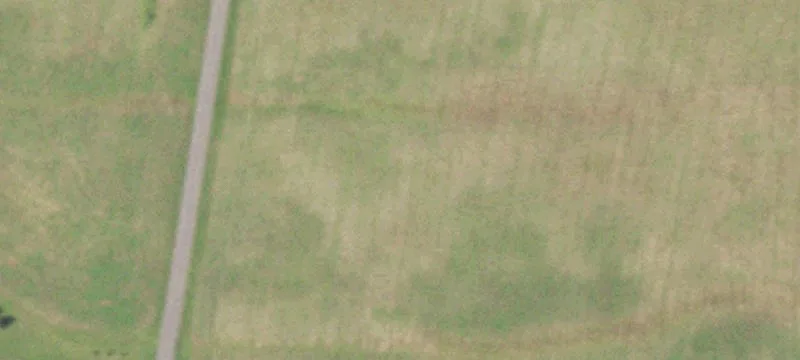 Hunting Land with Road Access