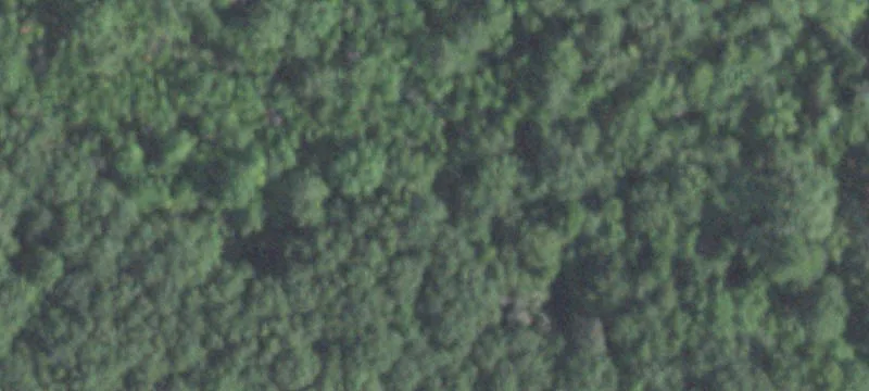Land with Two Ponds and Home