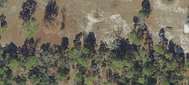 Platted Residential Land Assemblage