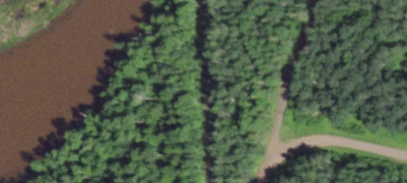 Turnkey Hunting and Recreation Land