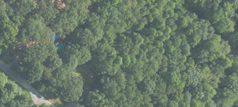 Wooded Residential Land Parcels