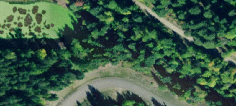 Scenic Partly-Treed Estate Homesite