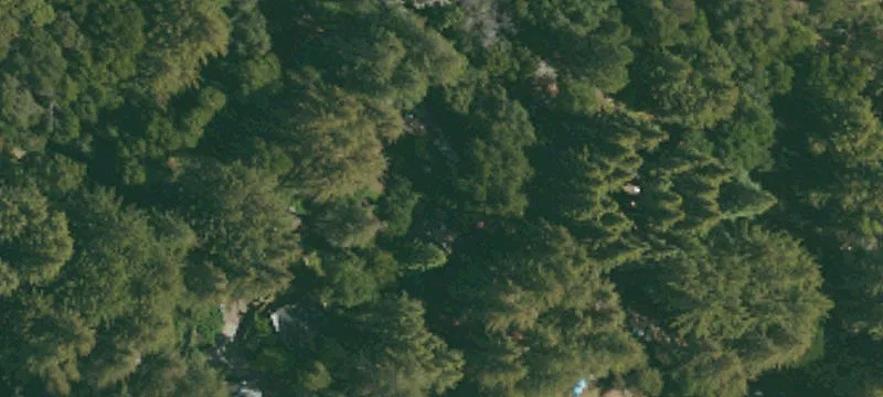 Residential Land Lot with Mixed Woods