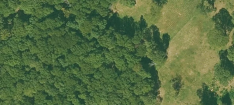 Hunting and Homesite Acreage with Road Frontage